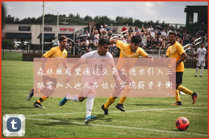 森林狼有望通过交易兰德尔引入三球需加入迪文岑佐以实现薪资平衡
